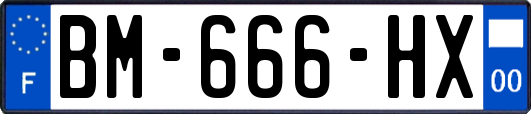 BM-666-HX