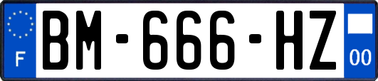 BM-666-HZ