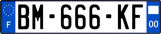 BM-666-KF