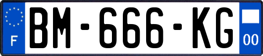 BM-666-KG