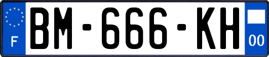 BM-666-KH