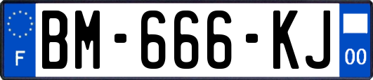 BM-666-KJ