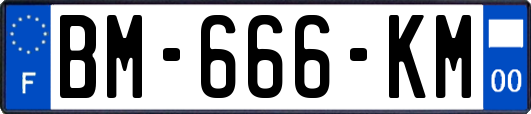 BM-666-KM