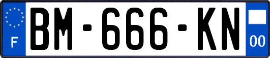 BM-666-KN