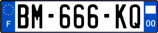 BM-666-KQ