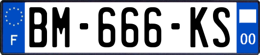 BM-666-KS