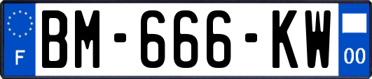 BM-666-KW