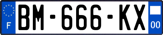 BM-666-KX