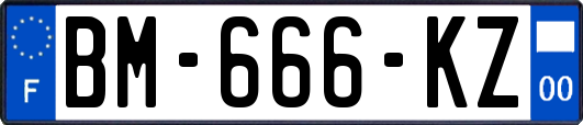 BM-666-KZ
