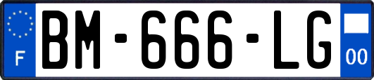 BM-666-LG
