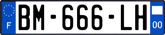 BM-666-LH