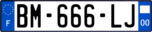 BM-666-LJ