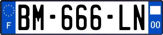BM-666-LN