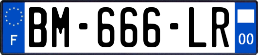 BM-666-LR