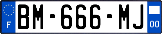 BM-666-MJ