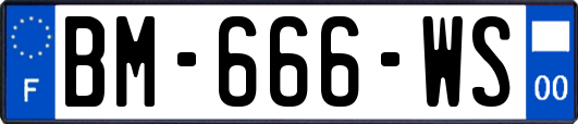 BM-666-WS