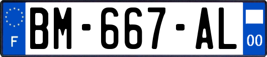 BM-667-AL