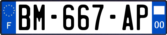 BM-667-AP