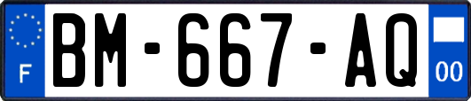 BM-667-AQ