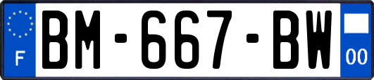 BM-667-BW