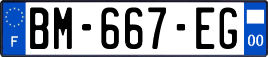 BM-667-EG