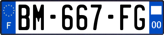 BM-667-FG