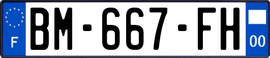 BM-667-FH