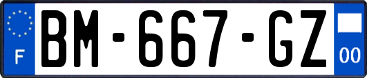 BM-667-GZ