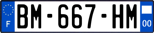 BM-667-HM
