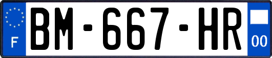BM-667-HR