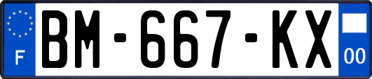 BM-667-KX
