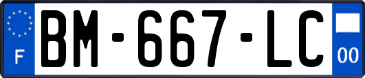 BM-667-LC