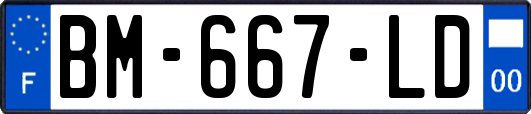 BM-667-LD