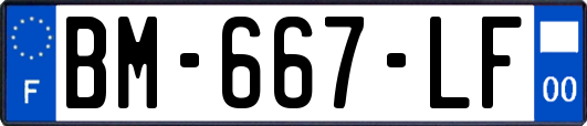 BM-667-LF