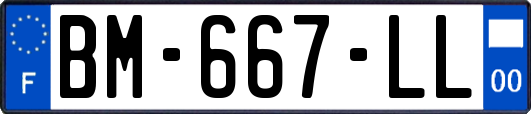 BM-667-LL