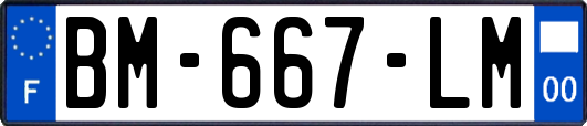 BM-667-LM