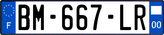 BM-667-LR