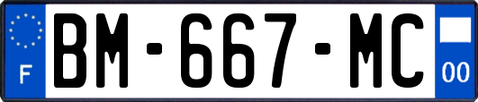 BM-667-MC