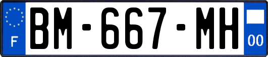 BM-667-MH