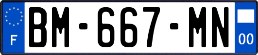 BM-667-MN