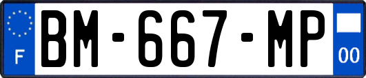 BM-667-MP