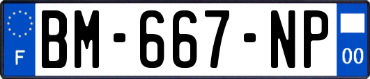 BM-667-NP