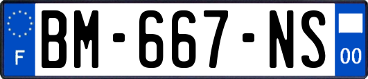 BM-667-NS