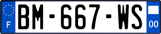 BM-667-WS