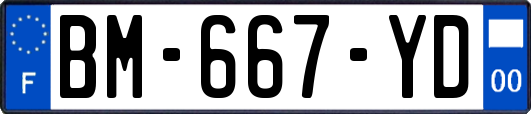 BM-667-YD