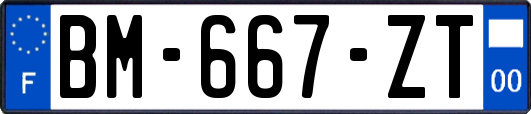 BM-667-ZT