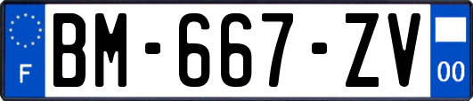 BM-667-ZV