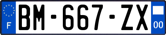 BM-667-ZX