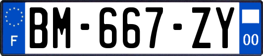 BM-667-ZY