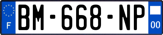 BM-668-NP